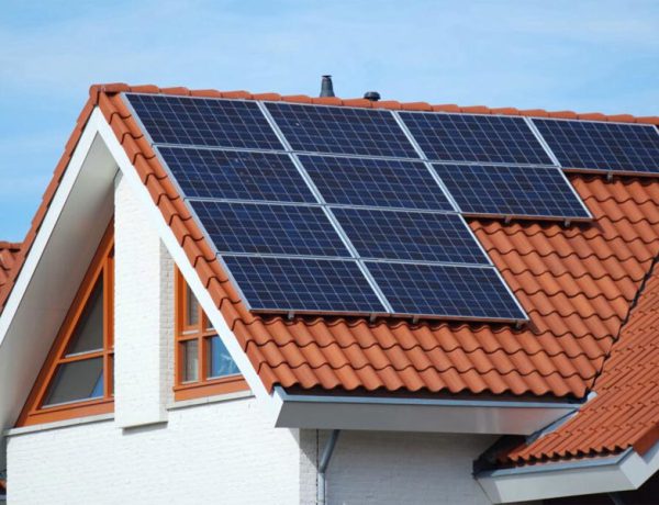 green-living_t20_RwVQlv